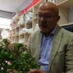 "Katil arı" Giresun’da da görüldü!   