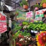 Pazar tezgahına astığı yazı görenleri duygulandırdı!