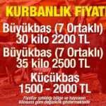 Yurt Dışı ve Yurt İçi Kurban Fiyatları (Diyanet) ne kadar? Büyükbaş ve Küçükbaş 2021 güncel kurbanlık fiyatları