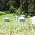 Bu obada ayı ve kurt g&ouml;rene 10 g&uuml;nl&uuml;k tatil bedava