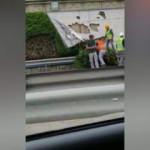 CHP'li İBB'den Zeytinburnu'nda 'dikey bahçe' katliamı