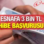 Esnafa 3 bin TL hibe desteği başladı! e-Devlet üzerinden hibe başvurusu nasıl yapılır?
