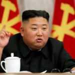 "Koronavirüsü Yayıyorlar" Diyerek Kedi ve Güvercinleri Toplatma Kararı Verdi