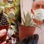 Pandemi döneminde kaktüslere talep arttı!