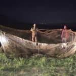 Van'da kaçakçılık operasyonu! 16 ton 200 kilo inci kefali ele geçirildi