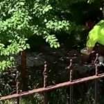 Yavru köpeğin imdadına polis yetişti