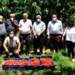 Antalya'da 17 yıl önce dikilen fidanlar, ihracat kapısı oldu