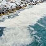 Bakan Kurum tarih verdi! Müsilaj için harekete geçiliyor