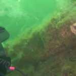 Beklemeye gerek yok! Hemen harekete geçilmeli...Müsilaj etrafımızı sardı