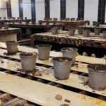 Burdur'da kuruldu, &ccedil;ift&ccedil;ilere alternatif gelir kaynağı oldu