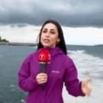 Deniz salyasının nedeni sadece iklim değişikliği değil! 