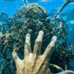 Denizlerimizin kâbusları bitmiyor! Şimdi de hayalet ağlar...