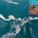 İtalyanlar, müsilajın (deniz salyası) Marmara'ya nereden geldiğini açıkladı