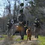 MSB duyurdu: PKK'lı terörist yakalandı