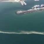 Tekirdağlı balıkçılar, deniz salyasından suya ağ atamıyor