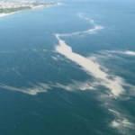 Müsilaj Marmara açıklarında ada oluşturdu! Endişelendiren manzara