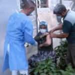 Antalya'da sağlık ekipleri çiftçi çift için 50 kilometre yol giderek aşı yaptı