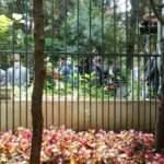 Cahit Zarifoğlu, vefatının 34. yılında kabri başında dualarla anıldı!