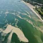 Deniz salyası bu kez Bakırköy kıyılarını sardı