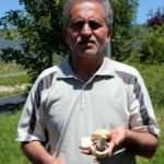 İkiz mantarlara dikkat! Biri ölümcül