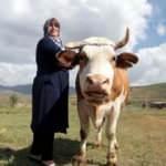 3 çocuk annesi kadın köyüne döndü, hem kanseri yendi hem girişimci oldu!