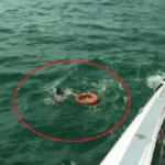 Marmara Denizinde müsilaj istilasındaki sularda can pazarı yaşandı