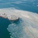 M&uuml;silaj kararı y&uuml;r&uuml;rl&uuml;ğe girdi!