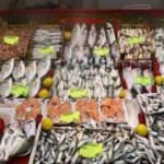 Prof. Dr. Ayaz vatandaşın merak ettiği soruyu yanıtladı: Müsilaj balıkları zehirler mi?