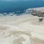 Salya için YÖK de devreye girdi!