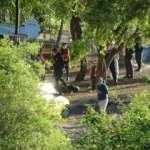Samsun'da katliam! Karavanda ölü bulundular