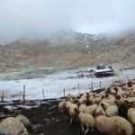 Antalya'nın Kaş ilçesinde yüksek kesimlere kar yağdı