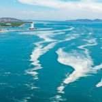 Bakan Kurum'dan m&uuml;silaj a&ccedil;ıklaması: İşletmelere kapatma cezası!