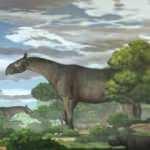 Çin'de zürafadan daha uzun "gergedan" fosili bulundu
