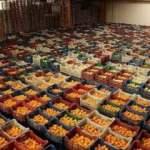 Ege Yaş Meyve Sebze İhracatçıları Birliği rekor ihracat bekliyor