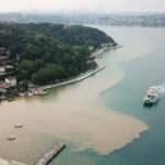 İstanbul Boğazı &ccedil;amura bulandı