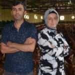 Ordu'da anasınıfı öğretmeni organik yumurta üretiyor, Dubai ve Almanya'ya ihraç ediyor!