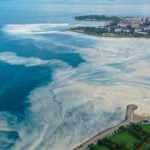 Son dakika: Bakan Kurum 'Test sonu&ccedil;ları &ccedil;ıktı' diyerek duyurdu! M&uuml;silaj tehlikeli mi?