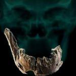 Bilim insanları yeni bir insan türü keşfetti