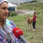 Atlarına kamyon çarpan aileye 23 bin liralık tebligat