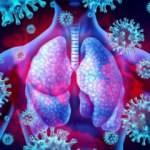 Delta varyantı neden bu kadar bulaşıcı?