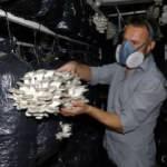 İş bulamayınca 10 metrekare yerde üretmeye başladı, üretimini 3 yılda 60 tona çıkardı!