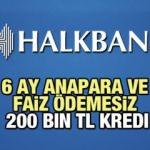 HalkBank 6 Ay Faiz ve Anapara Ödemesiz 200 Bin TL'ye Kredi imkanı! 2021 Kredi Başvuru Detayları