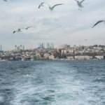 Marmara'da balıklar görünmeye başladı