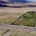 &Ccedil;orak araziyi vahaya d&ouml;n&uuml;şt&uuml;rd&uuml;