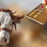 Diyanet kurban satışıyla ilgili merak edilen kredi kartı sorusunu yanıtladı