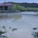 Iğdır’da sel felaketi: Evleri ve tarım arazilerini su bastı