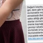 İstanbul'da sivrisinek kabusu! İBB önlem almak yerine bakın ne yaptı!