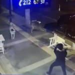 Kars’ta sokak köpekleri dehşet saçtı!
