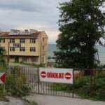 Kastamonu'da 2 köy anlaşamadı, 812 yıllık çınarın yolu kapatıldı!