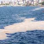 Müsilaj Komisyonu üyeleri belirlendi